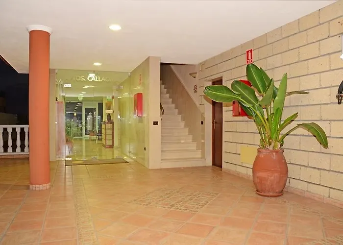 Апартаменты Callaomar